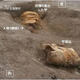 Image for article titled Archaeologists at 'Pompeii of Japan' site find a 1,400 year-old warrior still wearing his armour